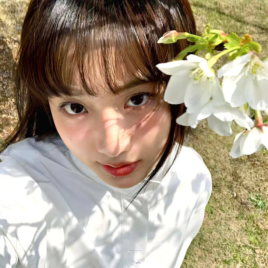 织田信奈的野望